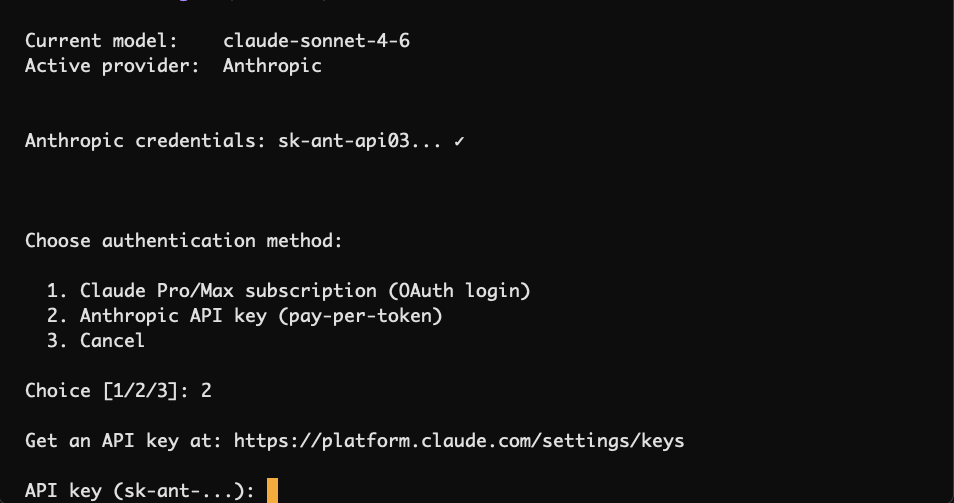 Hermes — API key input prompt